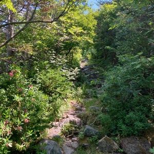 Meet your Posher, Anna..